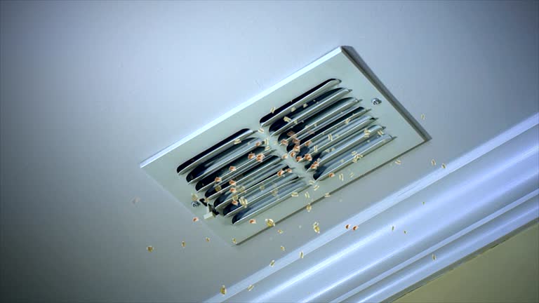 Best Air Duct Mold Removal  in Mclean, VA